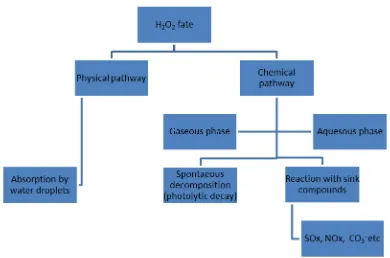 Figure 1. The fate of hydrogen peroxide released from aircraft decontamination.  