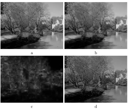 Fig. 5. Example of natural image super-resolution: a. original image of resolution 396528, b
