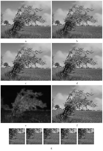 Fig. 6. Comparison between diﬀerent super-resolution methods: a. original image ofscale, c