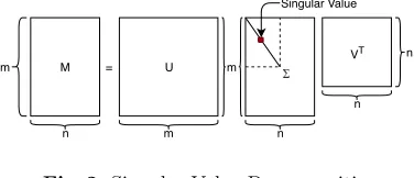 Fig. 2. Singular Value Decomposition