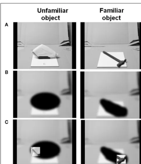 FIGURE 2 |Trial outlook in the (A) haptic and (B) visual objectidentiﬁcation tasks.
