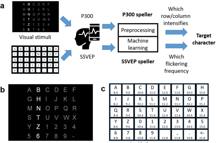 Figure 1 A P300 speller and an SSVEP speller. a, Workﬂow of a P300 speller (top path) and an SSVEP speller (bottom path)