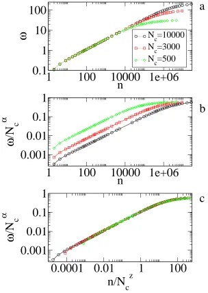 Figure 7. (a) Roughness evolution for diﬀerent values of Nc. (b) Collapse of thecurves onto the same saturation value.(c) Collapse of the curves onto the samesaturation value and same crossover iteration number.