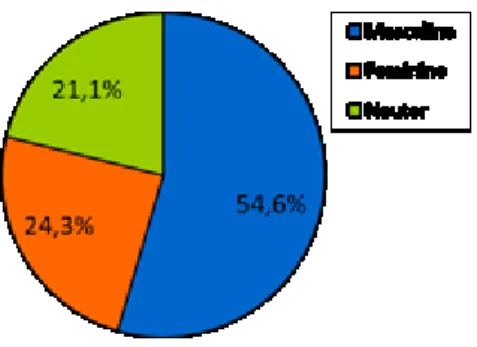 Figure 7: Final chart – Birds 