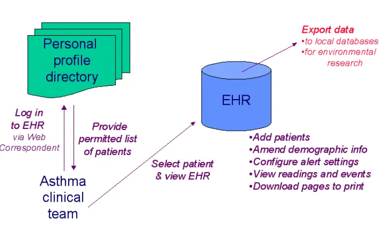 Figure 7: Process by which the DMS EHR can be accessed and used