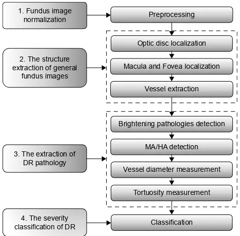 Figure 1 The four main steps in the development of the software.Abbreviations: Dr, diabetic retinopathy; ha, hemorrhage; Ma, microaneurysm.