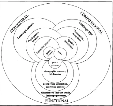 Figure 2.1. Compositional, structural and functional biodiversity, after Noss (1990).