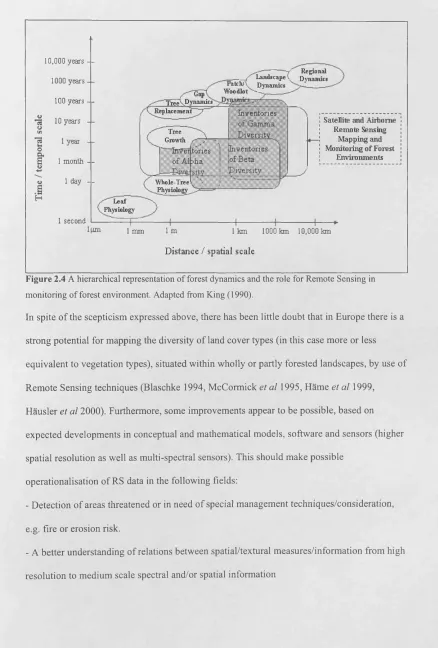 Figure 2.4 A hierarchical representation of forest dynamics and the role for Remote Sensing in 
