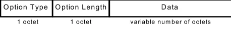 Figure 4: Destination options extension header 