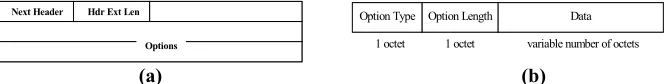 Figure 1: (a) Destination options extension header and (b) options in the form of TLV tuples