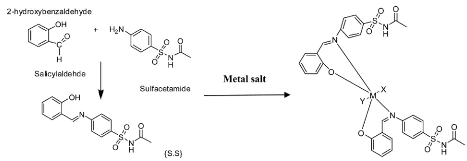 Figure 1. Shows condensation reaction between Salicylaldehyde and Sulfacetamide followed by reaction with metal salt forming the proposed structures of metal complexes, where M = Cd, Co, Ni or Pb (X = Y = H2O); M = Cr (X = H2O, Y = Cl); M = Ce (X = H2O, Y 