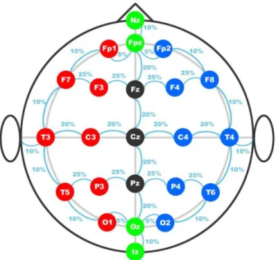 Figure 1.2: Electrode distribution in 10/20 international system (adapted from  [16])