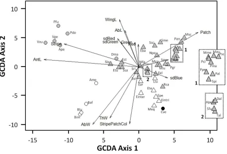 Figure 1: Generalized canonical discriminant analysis plot. Circles are models, triangles are mimics; grey symbols are wasps or wasp mimics, open symbols are bees or bee mimics while the solid black circle is the non-mimetic syrphid, Cheilosia vernalis