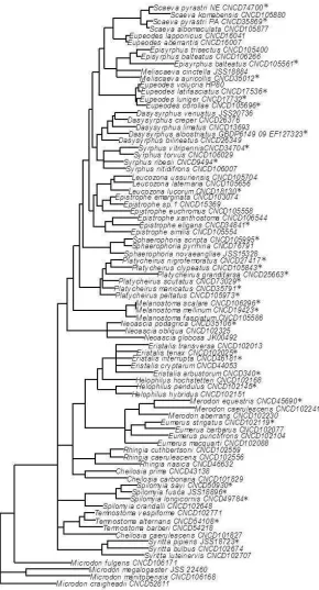 Figure S6 Phylogenetic relationships between 81 hover fly species (Diptera: Syphidae) used in the analysis for which COI genes have been sequenced