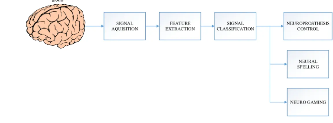 Figure 2.4: EEG Electrodes
