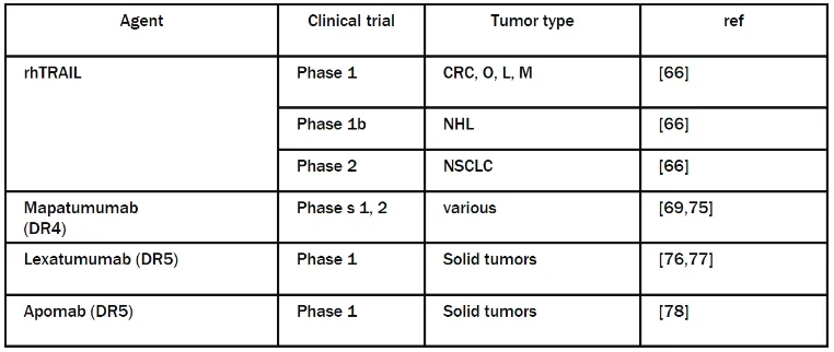 Table 1. Clinical trials using recombinant human TRAIL (rhTRAIL) or agonist antibodies (Mapatumumab, Lexatumumab and Apomab) of death receptors DR4 or DR5