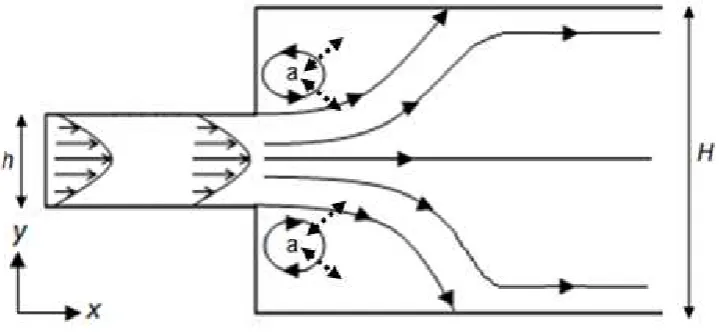 Figure 2. Schematic plan view of laminar flow in an open channel with a sudden advective transport from the inlet to the outlet