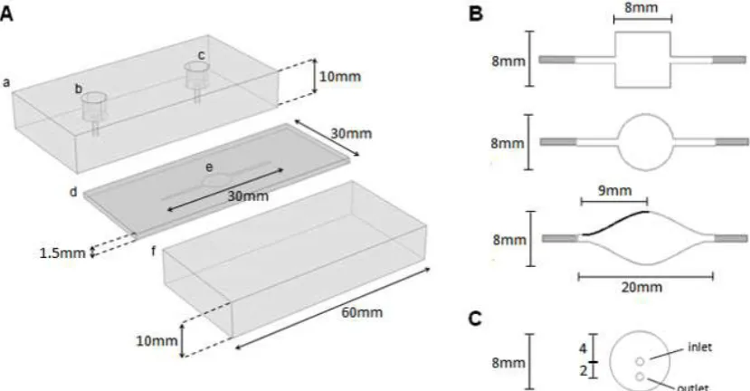 Figure 3. Experimental flow cell construction (A): (a) PMMA top block with (b) inlet and (c) outlet holes