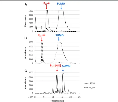 Figure 3 Average absorbance traces of cleaved SUMO_P11-N when purified using RP-HPLC on a C18 column