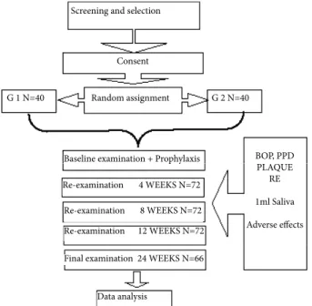 Figure 1.  Study Protocol