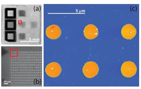 Figure 1: (a) An optical image of nine different reference grids on a 10× 10 mm2 sapphire substrate; (b) Optical zoom showing the grid struc-ture comprising gold pillars 2 μm in diameter, 75 nm tall, with a centre-to-centre distance of 5 μm; (c) AFM image 