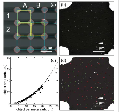 Figure 4: (a) The automation algorithm identifies the experimentalcells from the macroscopic reference grid, (b) then zooms in