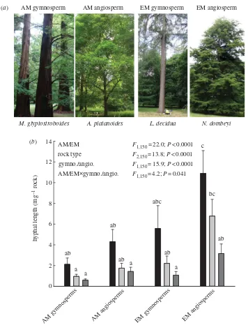 Figure 1. Fungal colonization of rock grains. (agraphs J.Q). () Representative trees in established stands at Westonbirt Arboretum (photo-b) Mean +s.e.m
