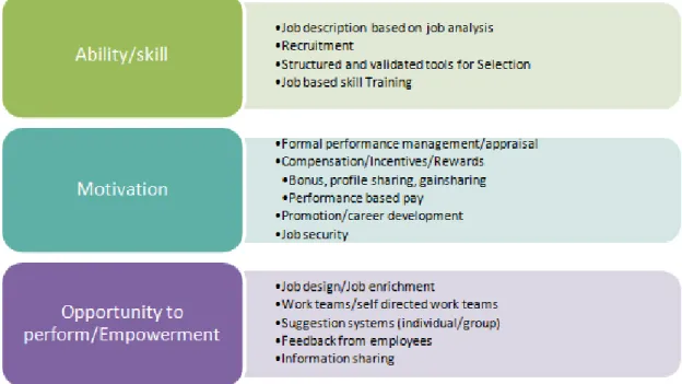 Figure 1. HIWP program design according to AMO model (Marin-Garcia, 2013)
