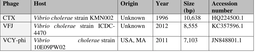 Figure 1. Genomic organization of zot-encoding prophages in Vibrio species A) Diagrammatic representation of zot-encoding prophages and phages of different pathogenic and environmental  isolates (See Supplementary Table 1S)