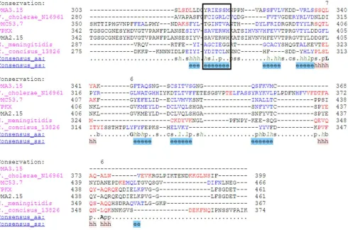 Figure 3. Zot alignment considering the C-terminal secondary structure of PMC53.7, PMA2.15, PMA3.15, VpKX and N