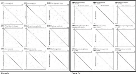 Figure 5: Dotplot analysis of Polyomaviridae genomes with A) Human, apes or related species as hosts with mono-nucleotide repeat motif contribution of 100% from the AT region and B) Divergent hosts with varying mono-nucleotide repeats in the AT region