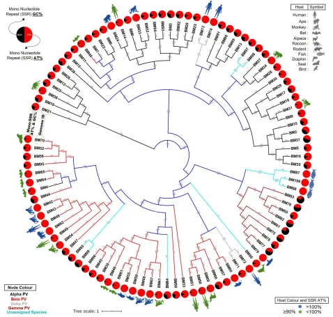Figure 6: Phylogenetic and Host range Analysis.  The phylogenetic tree is based on whole genome sequence alignment with few important observations