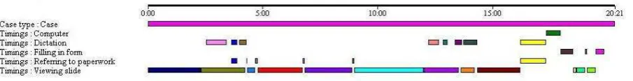 Figure 3: Extract from timeline for Consultant 3 