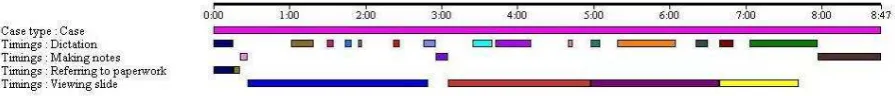 Figure 5: Extract from timeline for Consultant 2 