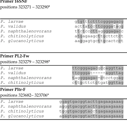 Figure 1. Sequence alignments of the annealing sites of forward primers from P. larvae targeted identification and detection qPCR assays in P