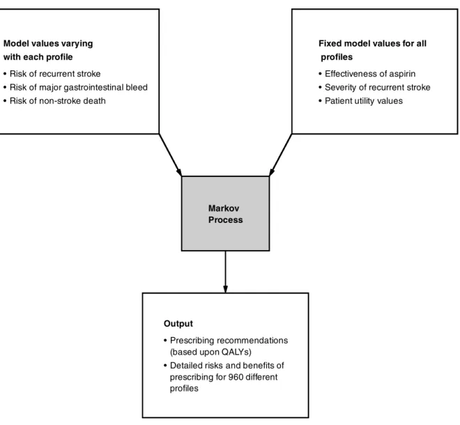 Figure 1 Components of the decision model