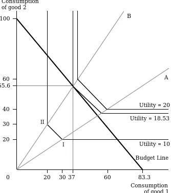 Figure E5.2  Indifference map and budget line for theconsumer in model (E5.1) - (E5.4), assuming (E5.8) - (E5.10)