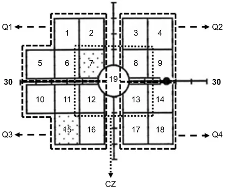 Figure 1 Pattern standard deviation plot of frequency doubling technology Matrix divided into four quadrants (Q1, Q2, Q3, Q4) and an additional central zone (CZ).
