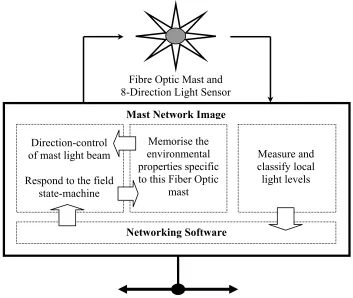 Fig. 3 Schematic of a Mast Network Image. 