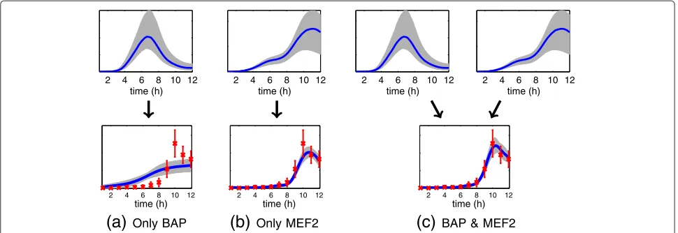 Figure 1 Illustration of how two TFs can cooperatively regulate a gene.highly ranked as a joint target of the TFs Bagpipe (BAP) and Myocyte enhancer factor 2 (MEF2) by the proposed method