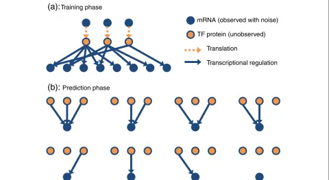 Figure 2 The proposed procedure for regulatory network inference.probability distribution given by the posterior distribution inferred during the training phase
