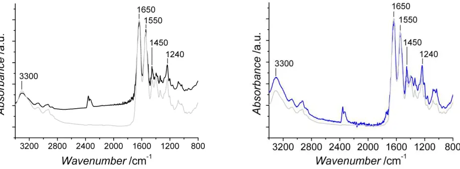 Figure 1. Exemplary FTIR spectra of Ph- (black line, left) and EDC-crosslinked (blue line, right) collagen