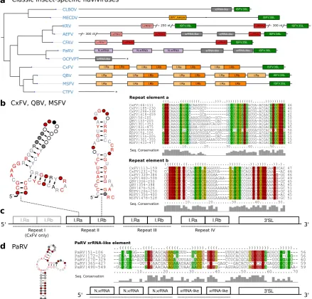 Figure 4. a Annotated Tree of cISFV 3’UTRs. Asterisks denote incomplete 3’UTR sequences