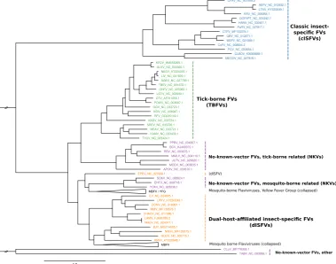 Figure 1. Maximum-likelihood phylogenetic tree of the genuswith Flavivirus, highlighting the major groupsISFVs (blue), dISFVs(orange), TBFVs (green), and NKVs (magenta)