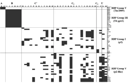 Figure 3. Host ranges of various phages isolated from whey samples between 2009 and 2015 [9, 20,16]