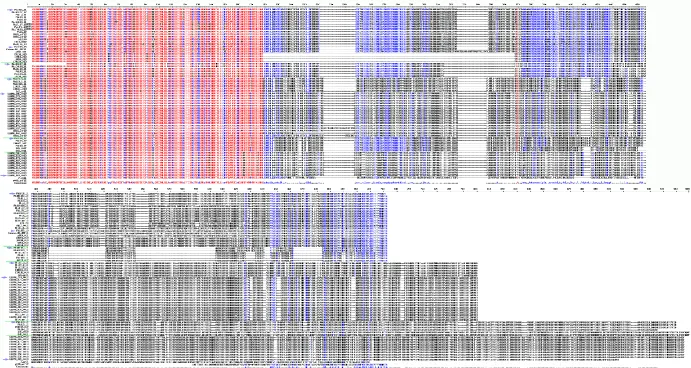 Figure S6. Sequence alignment of NPS proteins. The full-length proteins have been aligned