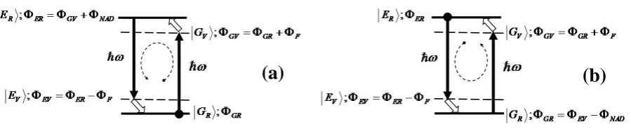 Figure 1. Material phase evolution within PSNADSs at ground (a) and excited (b) state initial conditions
