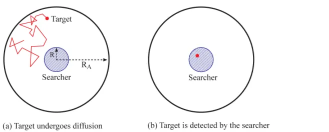 Figure 1. A schematic illustration of a diffusing target in a disk search region of radius R  in Athe presence of a stationary searcher at the center