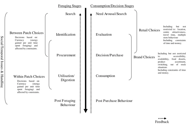 Figure 1:  A diagrammatical comparison of foraging and traditional consumption models/theories 