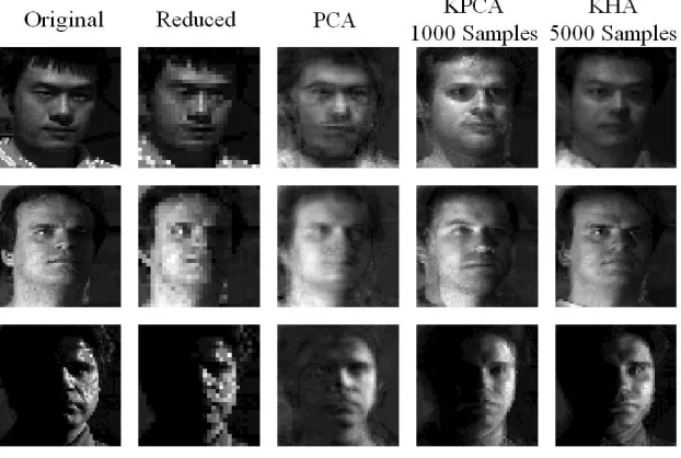 Figure 4: The ﬁrst 40 kernel principal components of 40,000 (1 4 ×1 4 )-sized patches of natural images obtained from the KHAusing a Gaussian kernel with σ=4 0 .